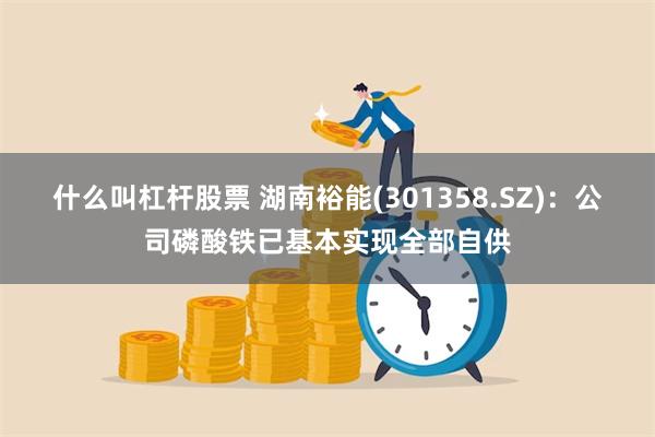 什么叫杠杆股票 湖南裕能(301358.SZ)：公司磷酸铁已