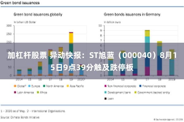 加杠杆股票 异动快报：ST旭蓝（000040）8月15日9点