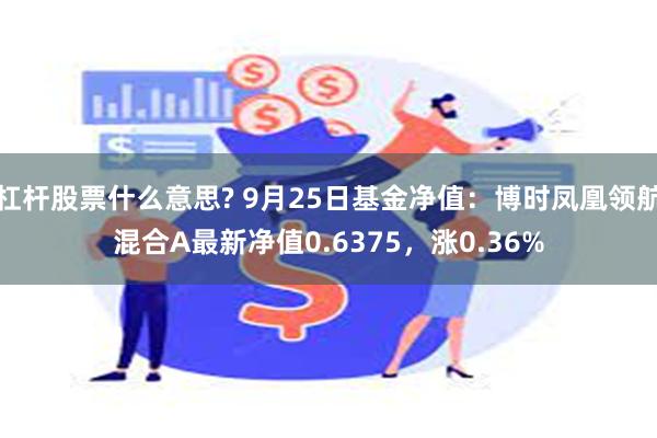 杠杆股票什么意思? 9月25日基金净值：博时凤凰领航混合