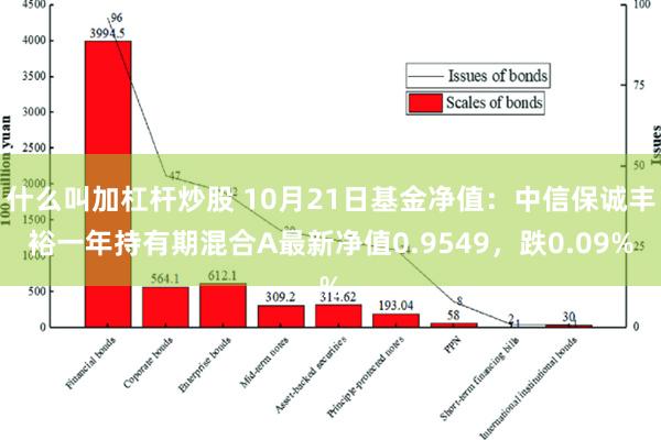 什么叫加杠杆炒股 10月21日基金净值：中信保诚丰裕一年持有期混合A最新净值0.9549，跌0.09%