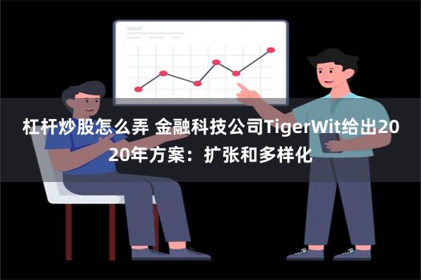 杠杆炒股怎么弄 金融科技公司TigerWit给出2020年方案：扩张和多样化