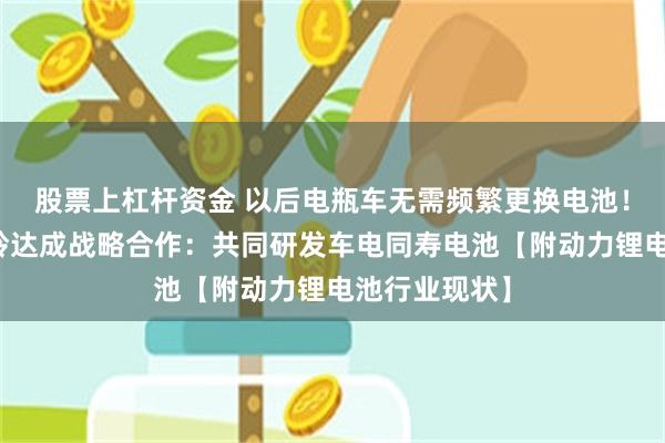 股票上杠杆资金 以后电瓶车无需频繁更换电池！比亚迪与台铃达成战略合作：共同研发车电同寿电池【附动力锂电池行业现状】