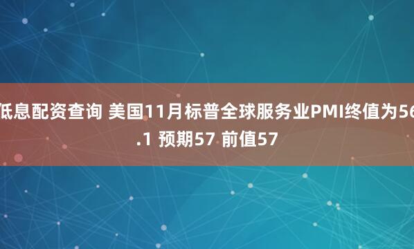 低息配资查询 美国11月标普全球服务业PMI终值为56.1 预期57 前值57