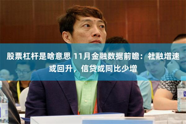 股票杠杆是啥意思 11月金融数据前瞻：社融增速或回升，信贷或同比少增