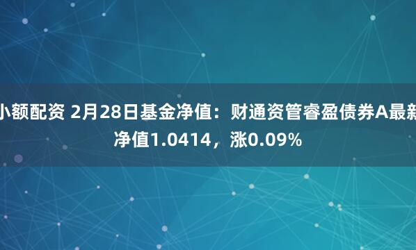 小额配资 2月28日基金净值：财通资管睿盈债券A最新净值1.0414，涨0.09%