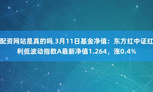 配资网站是真的吗 3月11日基金净值：东方红中证红利低波动指数A最新净值1.264，涨0.4%