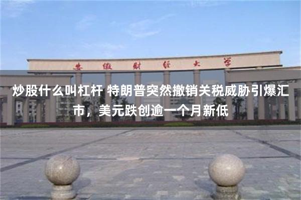 炒股什么叫杠杆 特朗普突然撤销关税威胁引爆汇市，美元跌创逾一个月新低