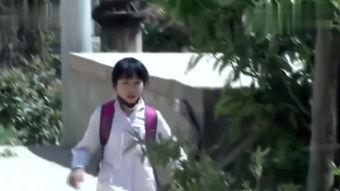 美丽重生全部演员表,揭秘剧中群英荟萃，实力派演员阵容闪耀荧屏