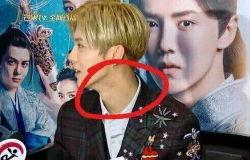 鹿晗新闻娱乐八卦,娱乐八卦揭秘明星生活点滴