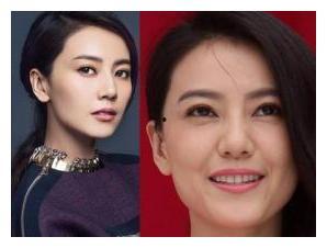 明星本人,揭秘明星背后的奋斗与成长