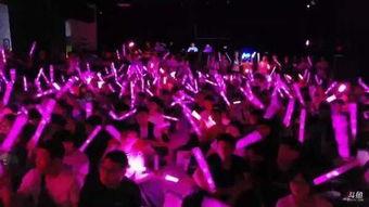 广州网红演唱会,星光熠熠，狂欢之夜精彩回顾