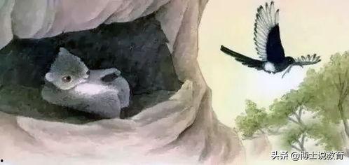 寒号鸟真实照片,冬日里的精灵，真实照片下的灵动瞬间